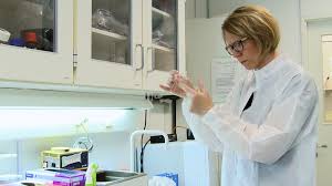 Maybe you would like to learn more about one of these? Preparation Of A High Quality Primary Cell Culture From Fish Pituitaries Protocol