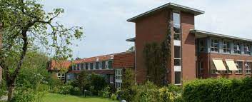 Dynamic psychiatry is based on the study of emotional processes, their origins, and the mental mechanisms underlying them. Psychiatrie Psychosomatik Und Psychotherapie Diako Krankenhaus