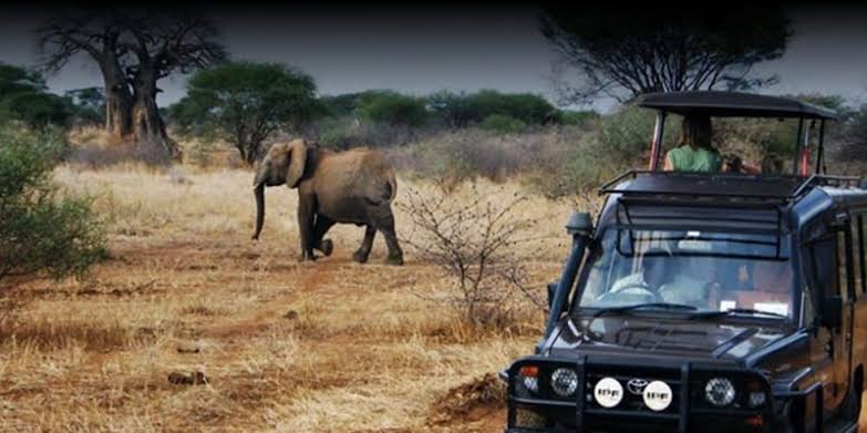 Rugged 4x4 safari vehicle approaching an elephant on a game drive in Akagera National Park Rwanda