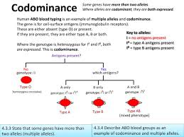 To understand the meaning of codominance, we will have to learn what dominance is. Ppt 4 3 Theoretical Genetics Powerpoint Presentation Free Download Id 6541481
