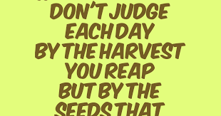  Gambar Kata Lelah Jiwa 18 Objek Ini Ampuh Obati Mata Dan Hati Yang Lelah Cek Biar Kumpulan Kata Kata Mutiara Dan Mot Gambar Kata Kata Bijak Kata Kata Mutiara