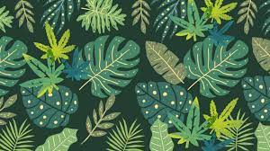 Seven Fun Video Chat Backgrounds For Your Virtual 420 Smoke Sesh Background Background Templates Virtual