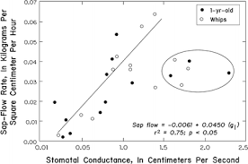 Cactus sap tips & strategies. Monitoring Plant And Groundwater Interactions Springerlink
