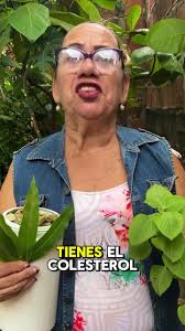 Hojas De Guayaba Canela Ginjer Orégano Rosemary Limón Cebolla Morada Ajo Y  Miel De Abeja Tea