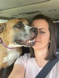 🌼🌼Daisy🌼🌼 Sweet Daisy. Such a delicate little flower. She was super  happy to not go for a walk today. Instead we went to get a cheeseburger and  chicken nuggets from McDonalds. Evidently