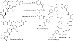 Image result for Vepris rogersii