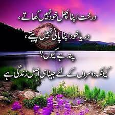 Email thisblogthis!share to twittershare to facebookshare to pinterest. Aqwal E Zareen Urdu Quotes Download Hd Images Urdu Quotes Best Quotes In Urdu Urdu Poetry Romantic