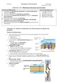 Maybe you would like to learn more about one of these? Module 1 Notes Studocu