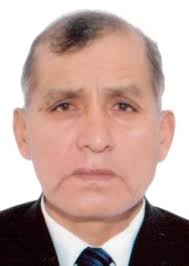 Ingresos de Otorongos Elecciones 2022