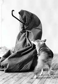 Born in krefeld 100 years ago on may 12, 1921, joseph beuys was mythologized for his groundbreaking conceptual art, but also his signature. Joseph Beuys Locked In With A Coyote I Like America Art Terms Conceptual Art Art History