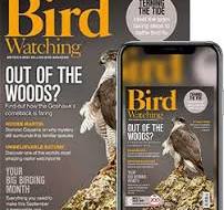 Bird Watching Magazine Subscription | Great Magazines