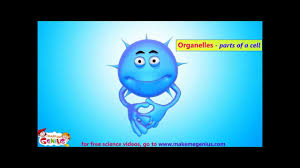 Animal cell definition for kid. Cell Structure