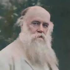 On my way to a cellar hole this morning I discovered a cemetery, I found it  was called “Osgoodite family,” an early NH religious sect. Founder Jacob  Osgood (1777-1844). Also dug up