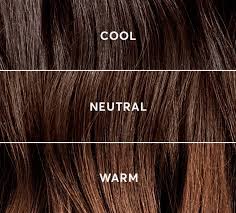 When i mean without bleaching, i mean without having to bleach your hair first and then having to dye your hair a brown colour. The Best Hair Color For Dark Hair No Bleach Required