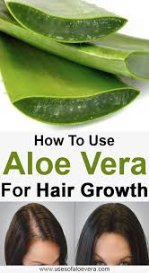 Now The Question Is Why These Companies Changed Their Once Chemicalized Products To Herbal In 2020 Aloe Vera For Hair Aloe Vera Gel For Hair Growth Grow Hair Overnight