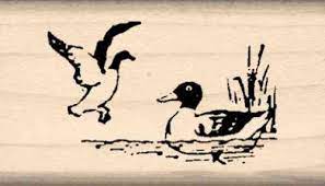 I made so many cards that i figured i would show you how to make them too! Card Making Cute Rubber Duck Ducky 1117 Rubber Stamp Shape Great For Scrapbooking Ink Stamping Crafts Crafts Arts Crafts Sewing Scrapbooking Rapidinfrastruktur Com