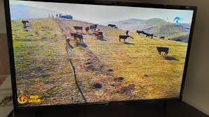 Slatioara (horezu) este adaugat de pe olx.ro. Ferma Bucovina Suceava Angus Home Facebook