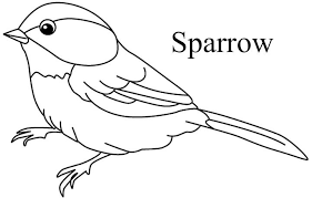 Download and print birds of prey, gallinaceous, songbirds and waterbirds. Top 20 Free Printable Bird Coloring Pages Online Bird Coloring Pages Coloring Pages Bird Drawing For Kids