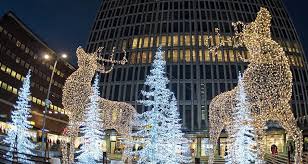 What Is The Difference Between The Types Of White Led Lights Christmas Designers White Christmas Lights Led Christmas Lights Christmas Lights