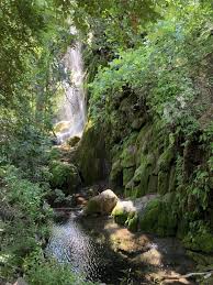 Bienvenido a nuestra plataforma de reservas online de jardínes privados para acampar bajo las estrellas. The Best Camping Near Dallas Tx Beartooth Anthony