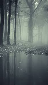 Dark Forest Wallpaper 74 Pictures Kerstie fantasy forest background graphics. dark forest wallpaper 74 pictures