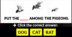 Nov 03, 2021 · a comprehensive database of more than 6540 education quizzes online, test your knowledge with education quiz questions. Test Your Academic Trivia Knowledge With This Quiz Mydailyquizz