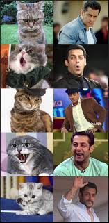 Salmankhan Salman Khan Photo Salman Khan Bollywood Stars