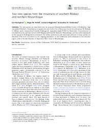 Image result for Isoglossa milanjiensis