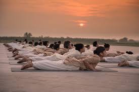 Maybe you would like to learn more about one of these? Isha Hatha Yoga