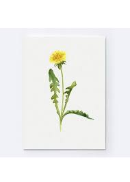 Common Dandelion Art Print Yellow Flower Abstract Watercolor Etsy Dandelion Art Dandelion Painting Dandelion Drawing