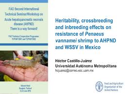 Presentation 2 3 Heritability Cross Breeding And Inbreeding