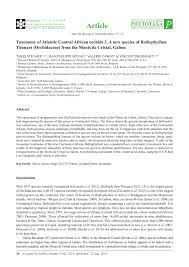 Image result for Stolzia cupuligera