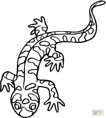 These spring coloring pages are sure to get the kids in the mood for warmer weather. 10 Salamander Ideas Salamander Salamander Craft Lizard Craft