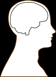 Cérebro Cabeça Ciência - Gráfico vetorial grátis no Pixabay