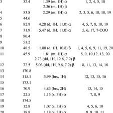 Image result for Tinnea antiscorbutica