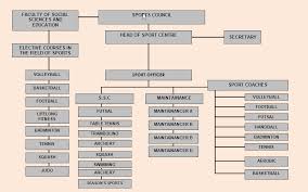 organizational structure