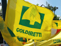 Coldiretti approva l'ordinanza salva allevamenti del ministero sulla peste suina