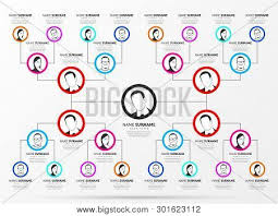 Infographic Design Vector Photo Free Trial Bigstock