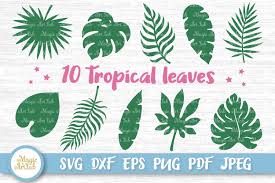 Nothing physical will be mailed to you. Tropical Leaves Svg Tropical Party Decor Svg Jungle Leaves 578357 Cut Files Design Bundles