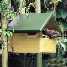 Image result for Flyte Blackbird Nest Box