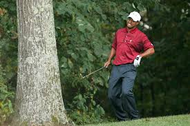 Image result for Golf Injuries