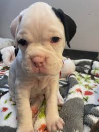 Lisa Klauck's Instagram, Twitter & Facebook