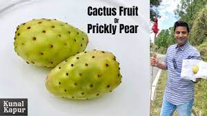 Even fruits have a place in a healthy keto diet. Cactus Fruit Prickly Pear How To Cut Amp Eat Kunal Kapur Recipes Cooking Shows