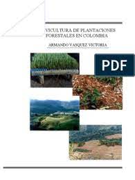 Bancolombia en cali cuenta con 45 oficinas en la ciudad, les proporcionamos las direcciones, teléfonos y horarios de todas ellas. Silvicultura Colombia Germinacion Los Bosques
