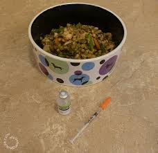 Dogs that are diabetic will need to take insulin daily. Best Dog Food For Diabetes Abpetrol Com Tr