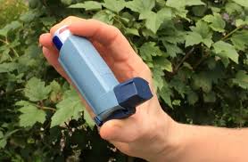 Metered dose inhalers are also called mdis or aerosol inhalers. The Conversation Asthma Inhalers Contribute To Global Warming Watts Up With That