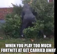 Image Tagged In Fortnit Bush Imgflip