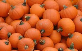 Cute pumpkin wallpaper for y'all. Pumpkin Wallpapers Wallpaper Cave