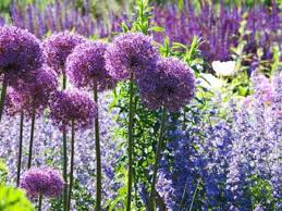 There are some repellents you can buy that work pretty well, morris says. Deer Resistant Plants For The Four Season Garden Horticulture