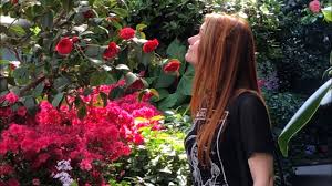 The berlin zoological garden (german: Botanischer Garten Berlin 20 April Youtube